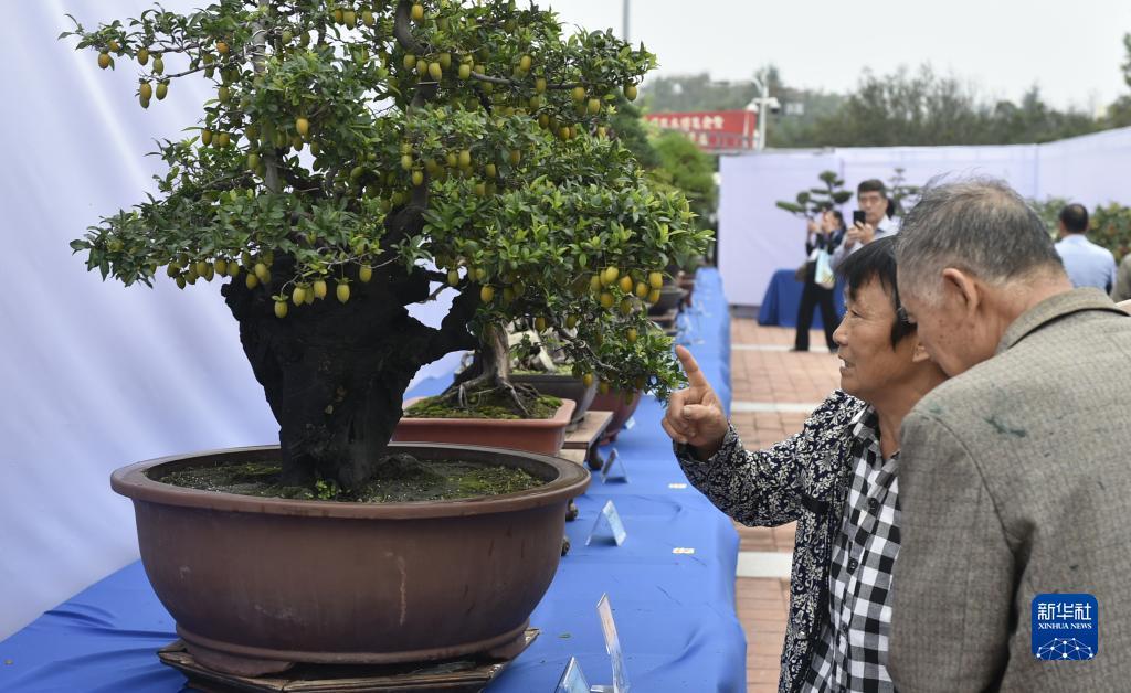 奔驰游戏网站多少
